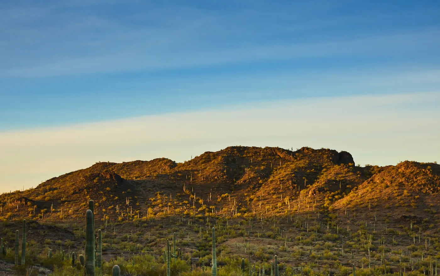 Camp at Picacho Peak State Park