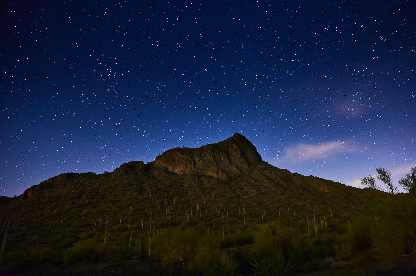 Camp at Picacho Peak State Park