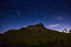 Camp at Picacho Peak State Park