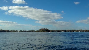 Paddle Board to Dog Island