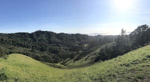 Seaview and Big Springs Loop