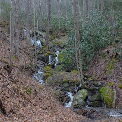 White Oak Falls via Brush Creek Falls Trail