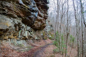 White Oak Falls via Brush Creek Falls Trail