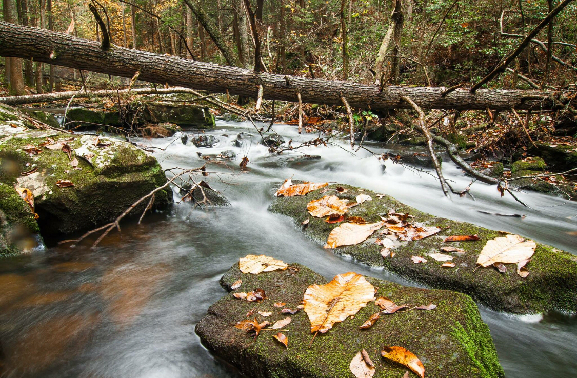 Foster Falls Loop