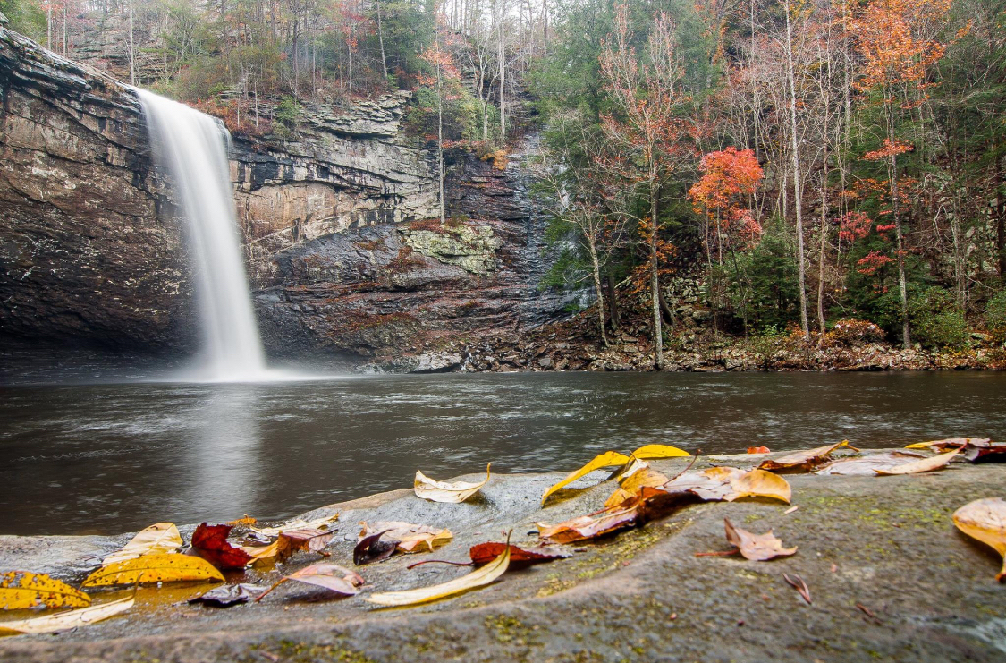 Foster Falls Loop