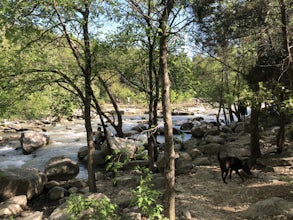 Barton Creek Greenbelt Trail via Spyglass Trailhead