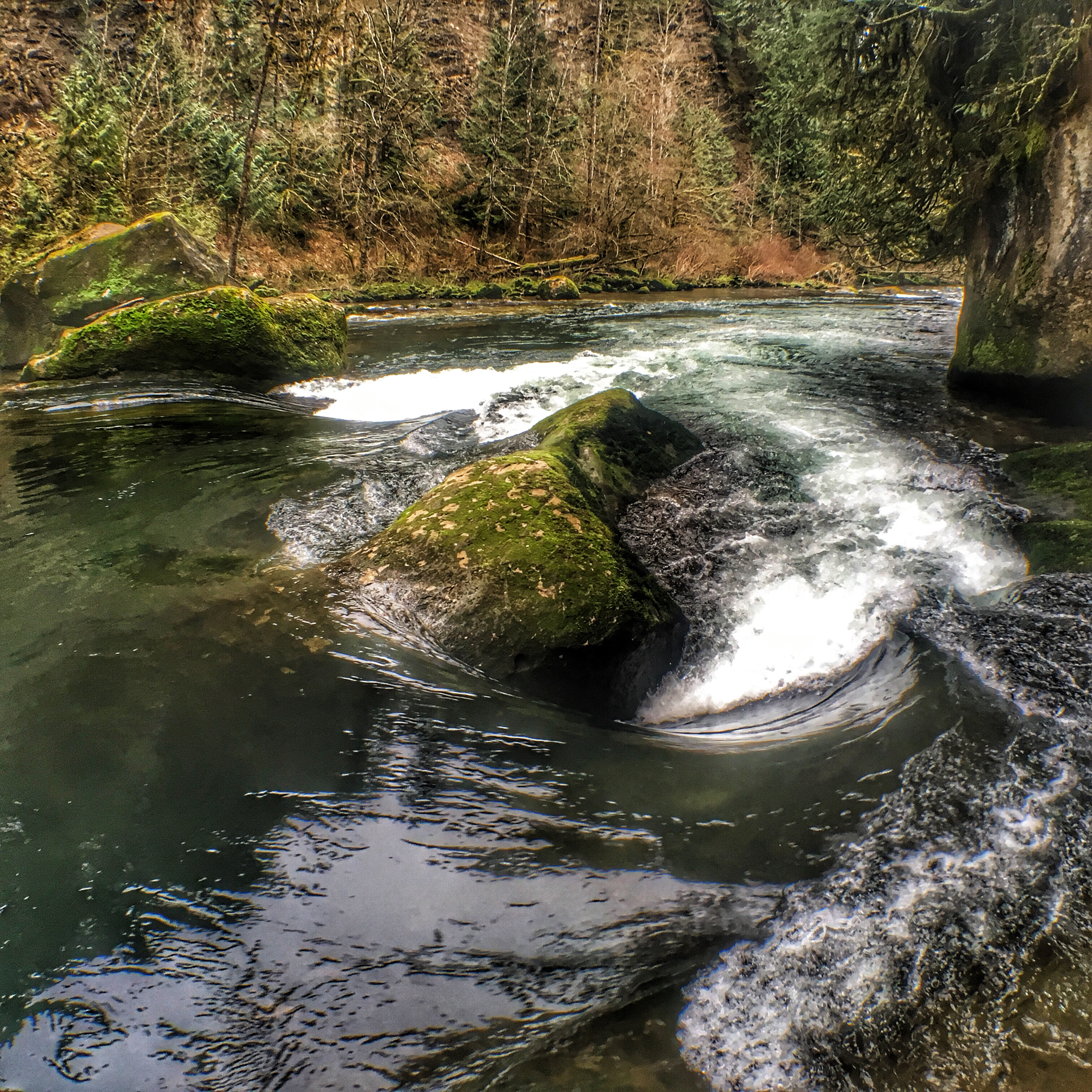 Explore the Green River Gorge