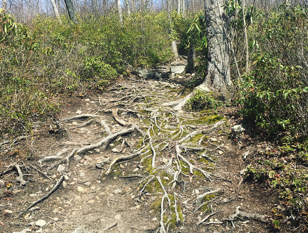 Hike to Beauty Spot Gap