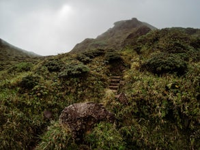 Hike the L'Aileron Route to Mt. Pelée