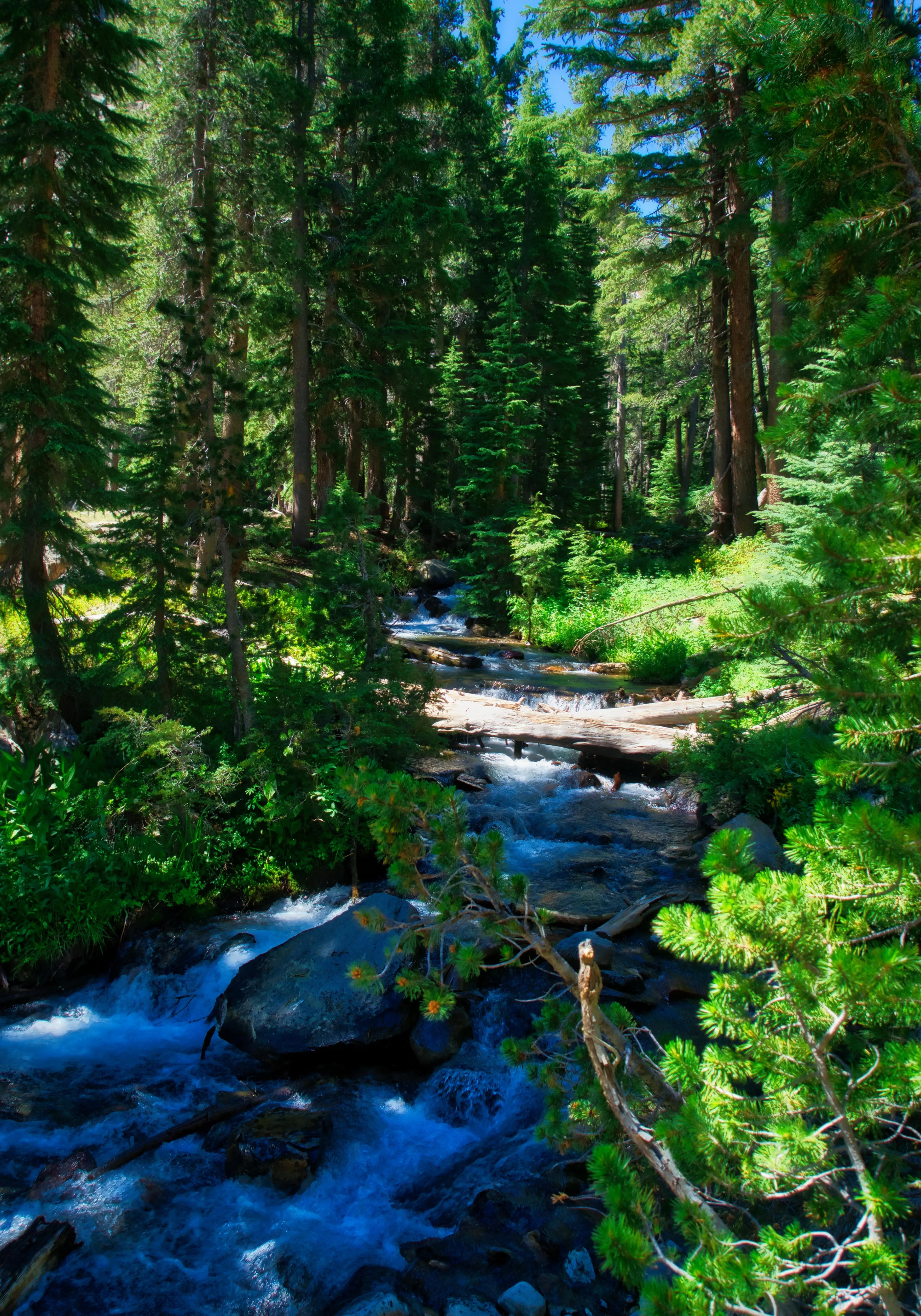 Backpack to Green Lake and Virginia Pass