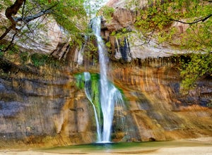 10 Must-Do Waterfalls Hikes in Utah