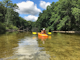 Paddle the Huron River in the Island Lake Recreation Area