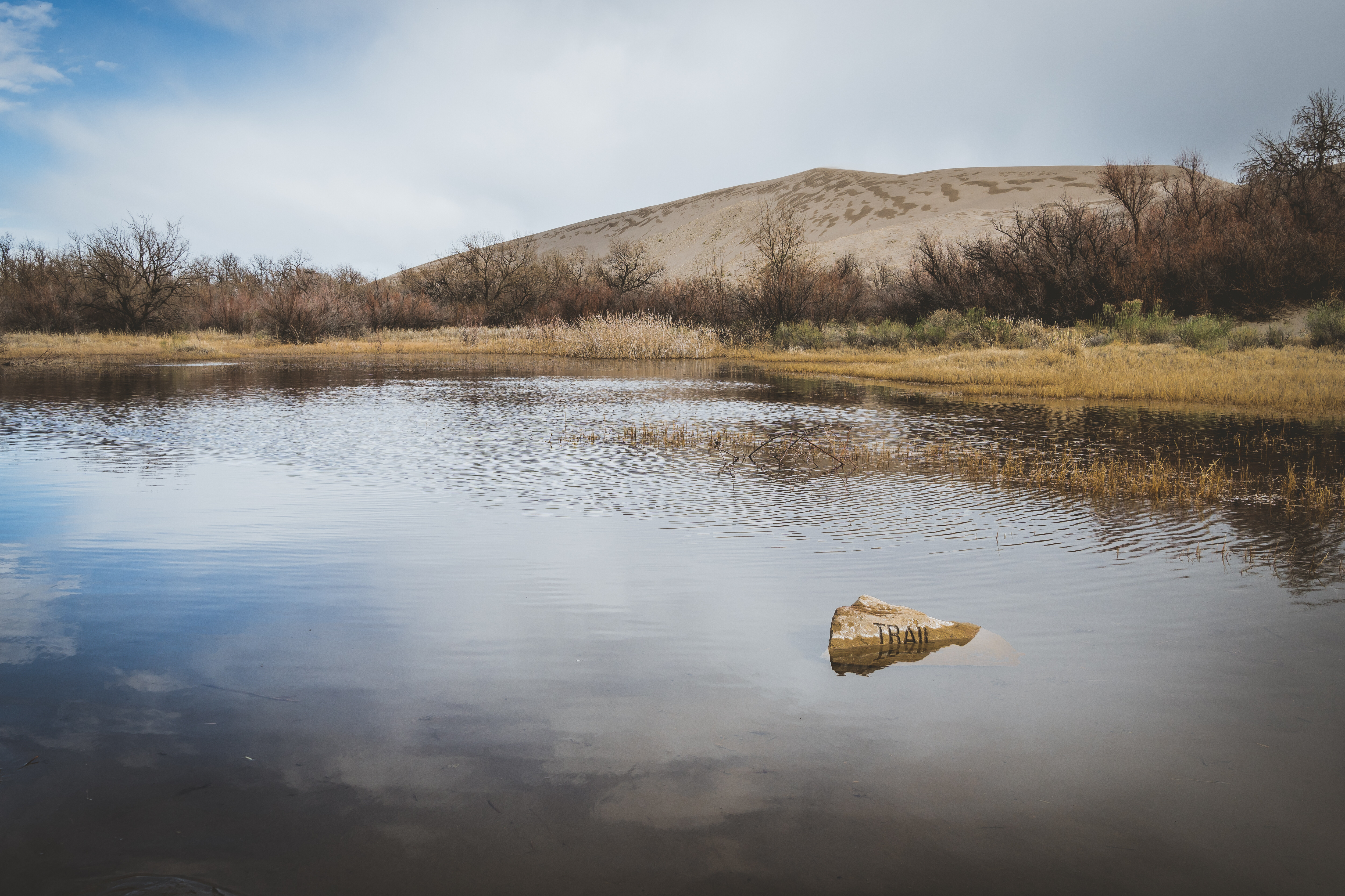 Hike the Bruneau Sand Dunes