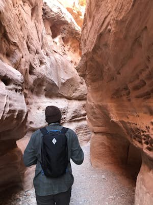 Hike the White Domes Trail in Valley of Fire State Park 