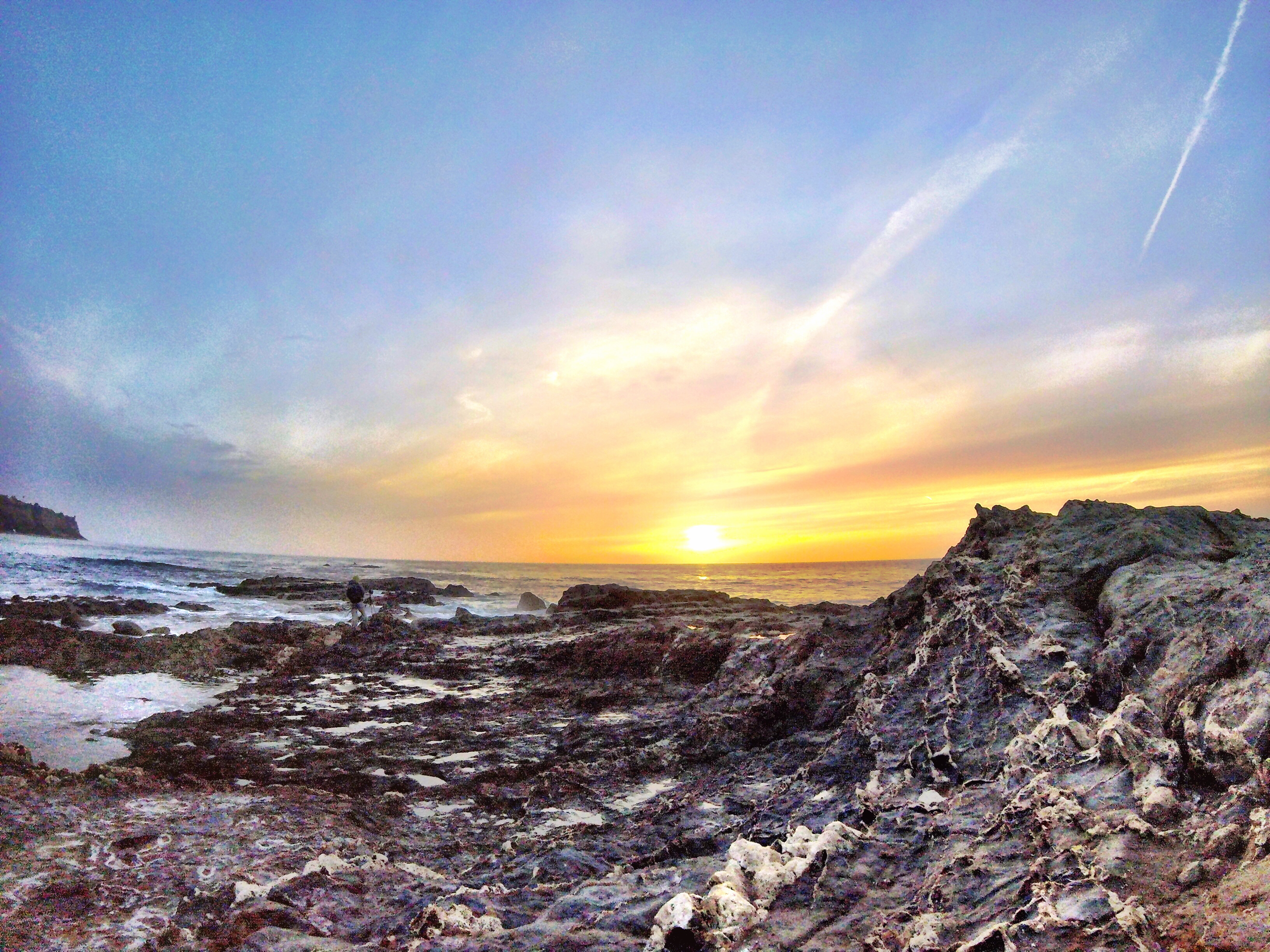 Bluff Cove