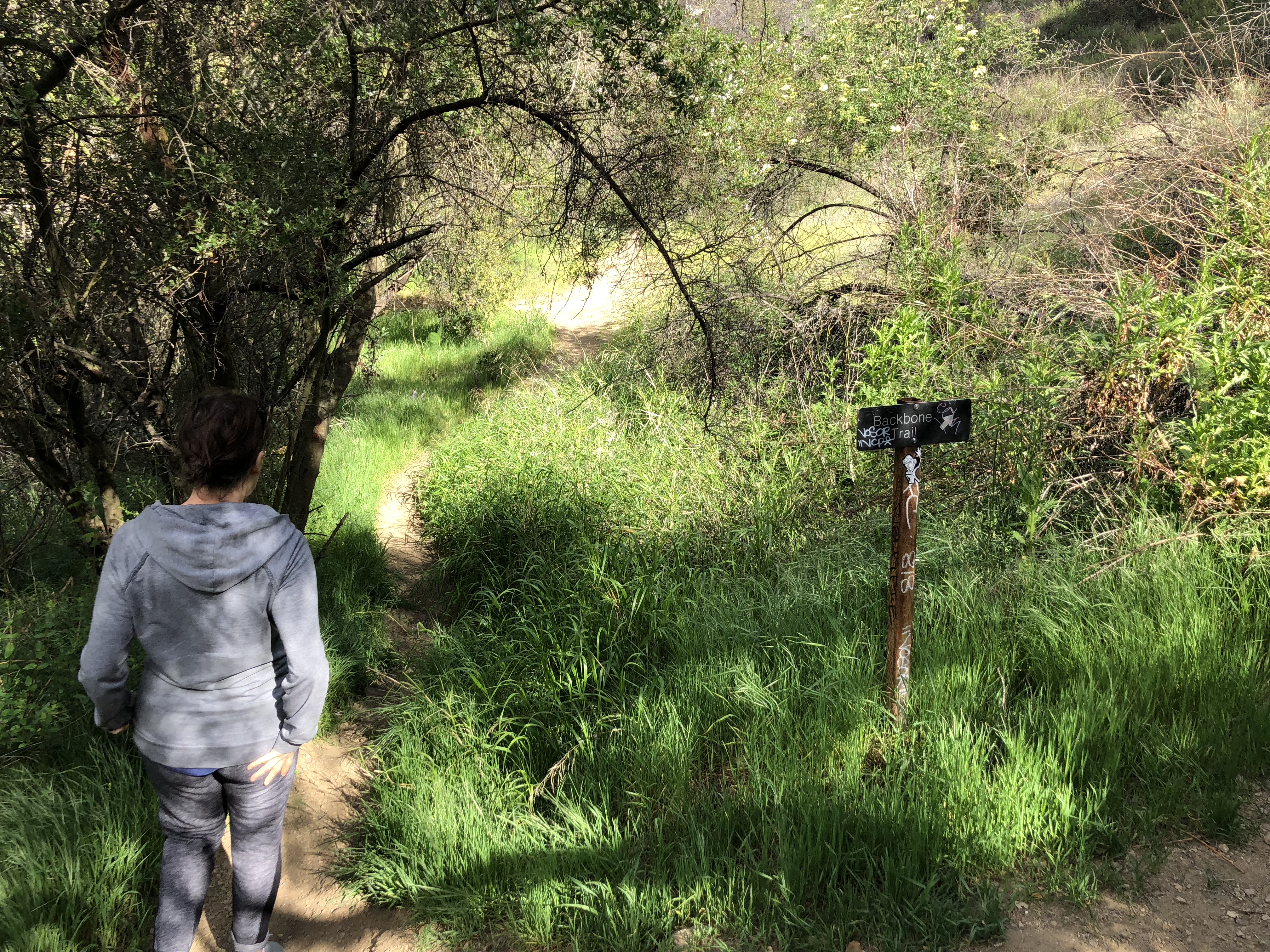 Newton & Zuma Canyon Falls