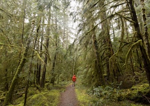 Hike Spoon Creek Falls