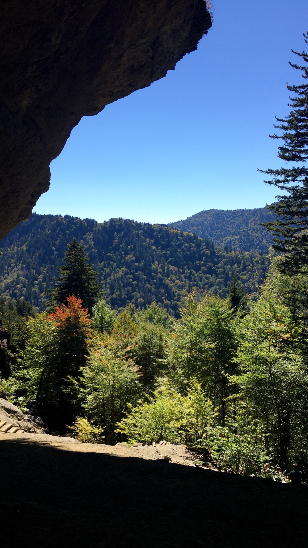 Mt. LeConte via Alum Cave Bluff