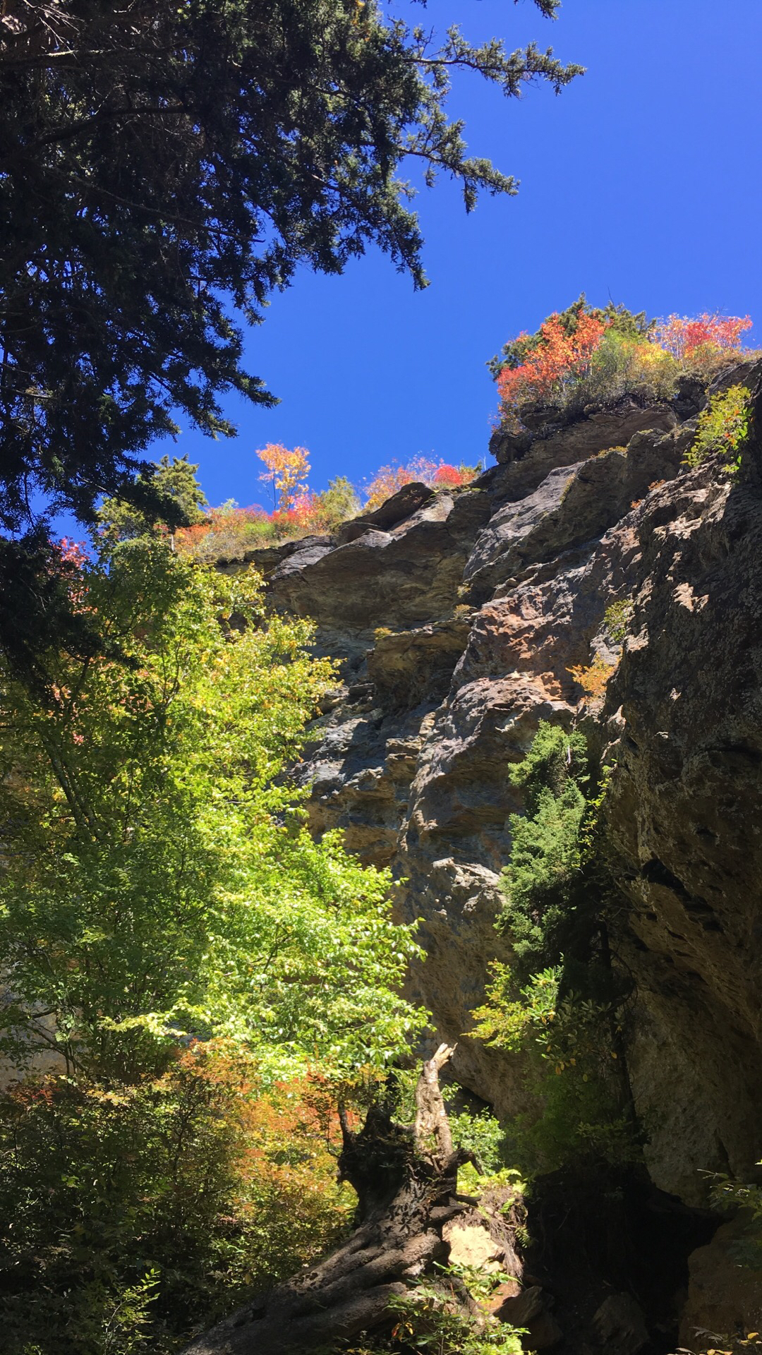 Mt. LeConte via Alum Cave Bluff