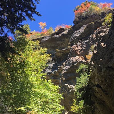 Hike to Mt. LeConte via Alum Cave Bluff