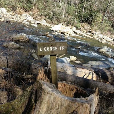 Hike the Conley Cove Trail into Linville Gorge