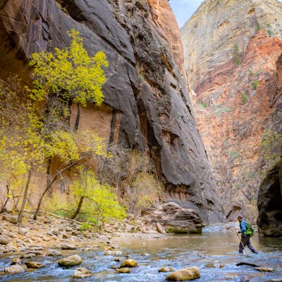 The Narrows, Zion NP