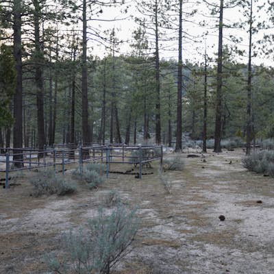 Camp at Horse Flats Campground