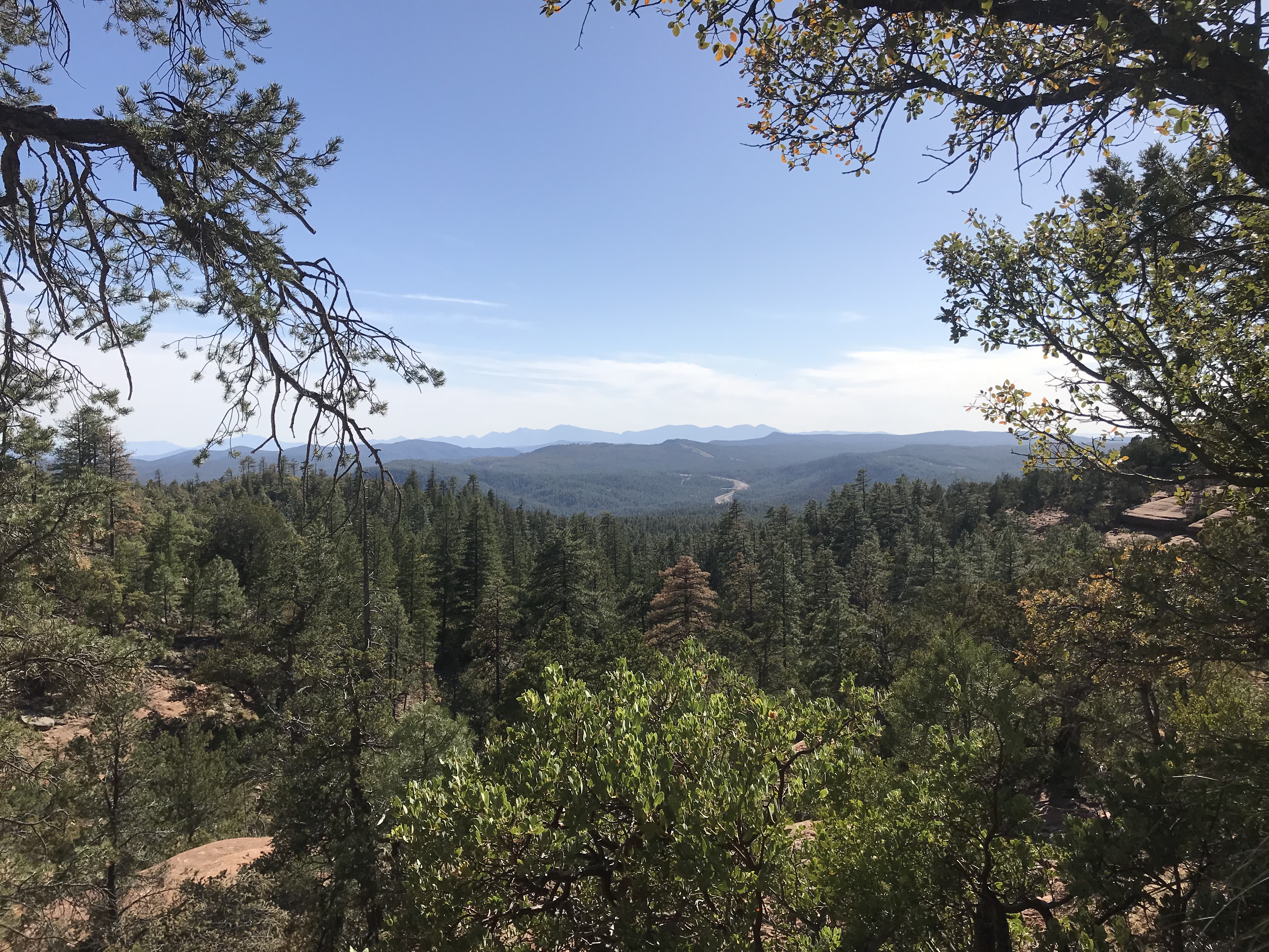 Horton Springs Loop
