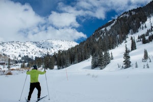 Cross Country Ski Alta Ski Area's Nordic Track