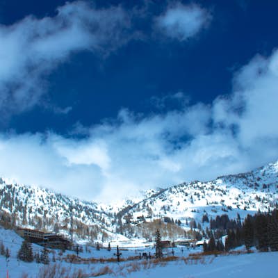 Cross Country Ski Alta Ski Area's Nordic Track