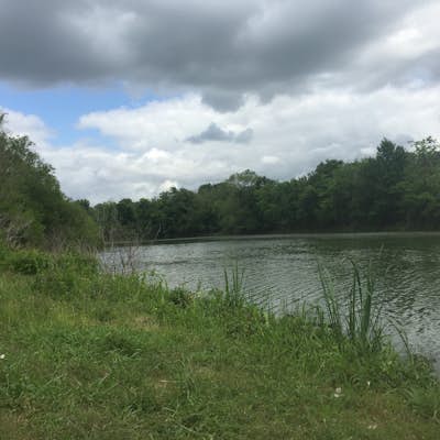 Hike 40-Acre Lake in Brazos Bend