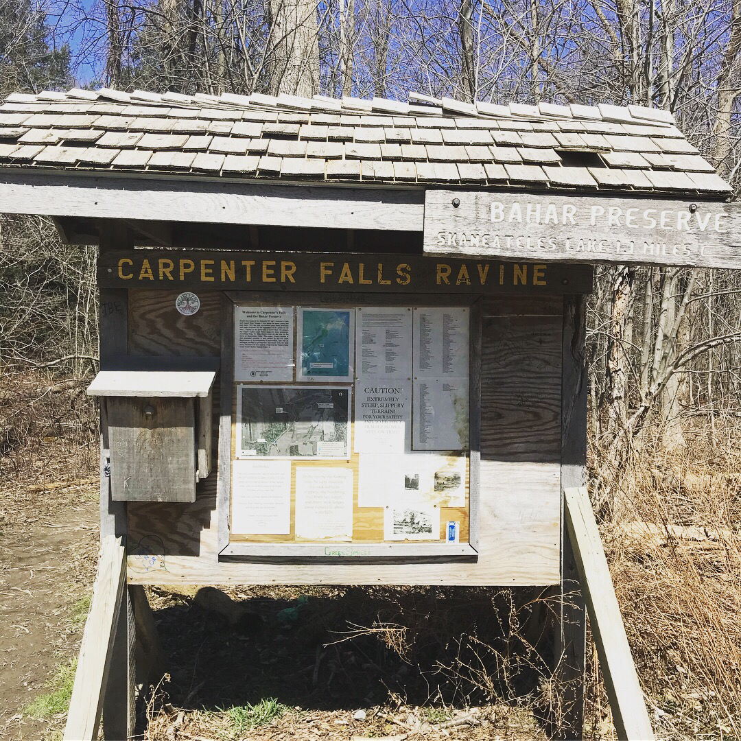 Carpenter and Angel Falls