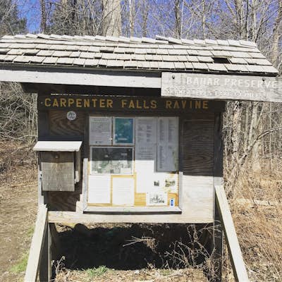 Hike Carpenter and Angel Falls