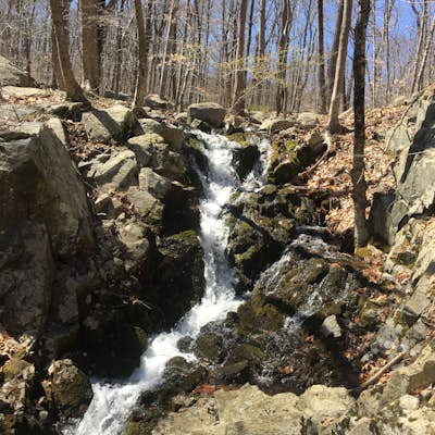 Hike the Halifax Trail and Ruins in the Ramapo Valley Reservation