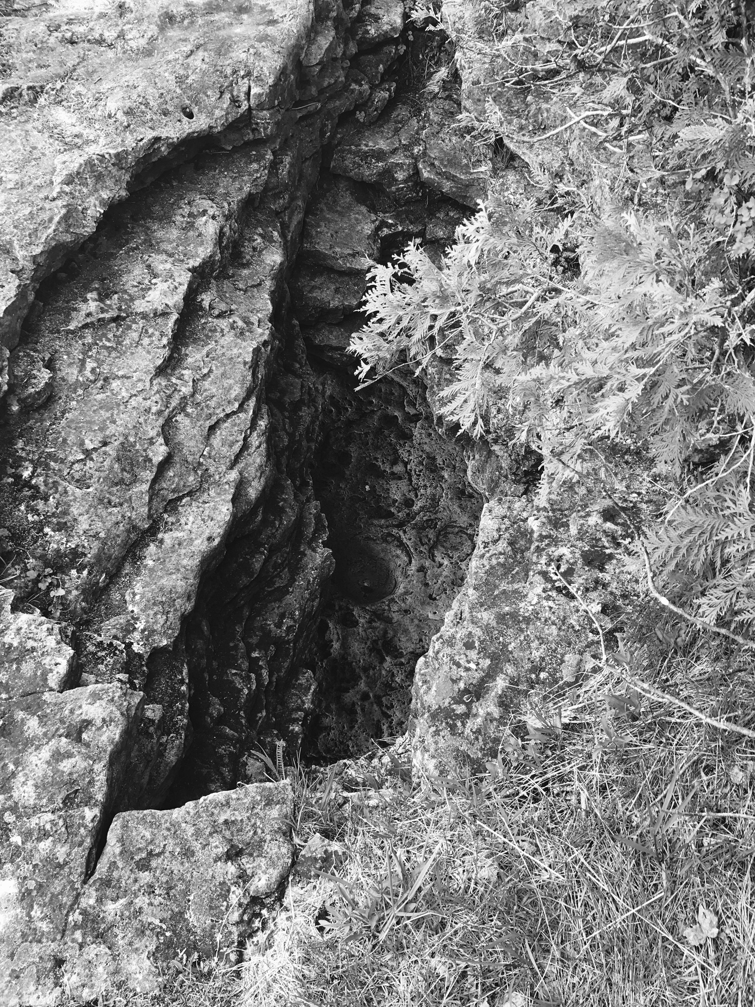 Cave Point County Park Lakeside Trail