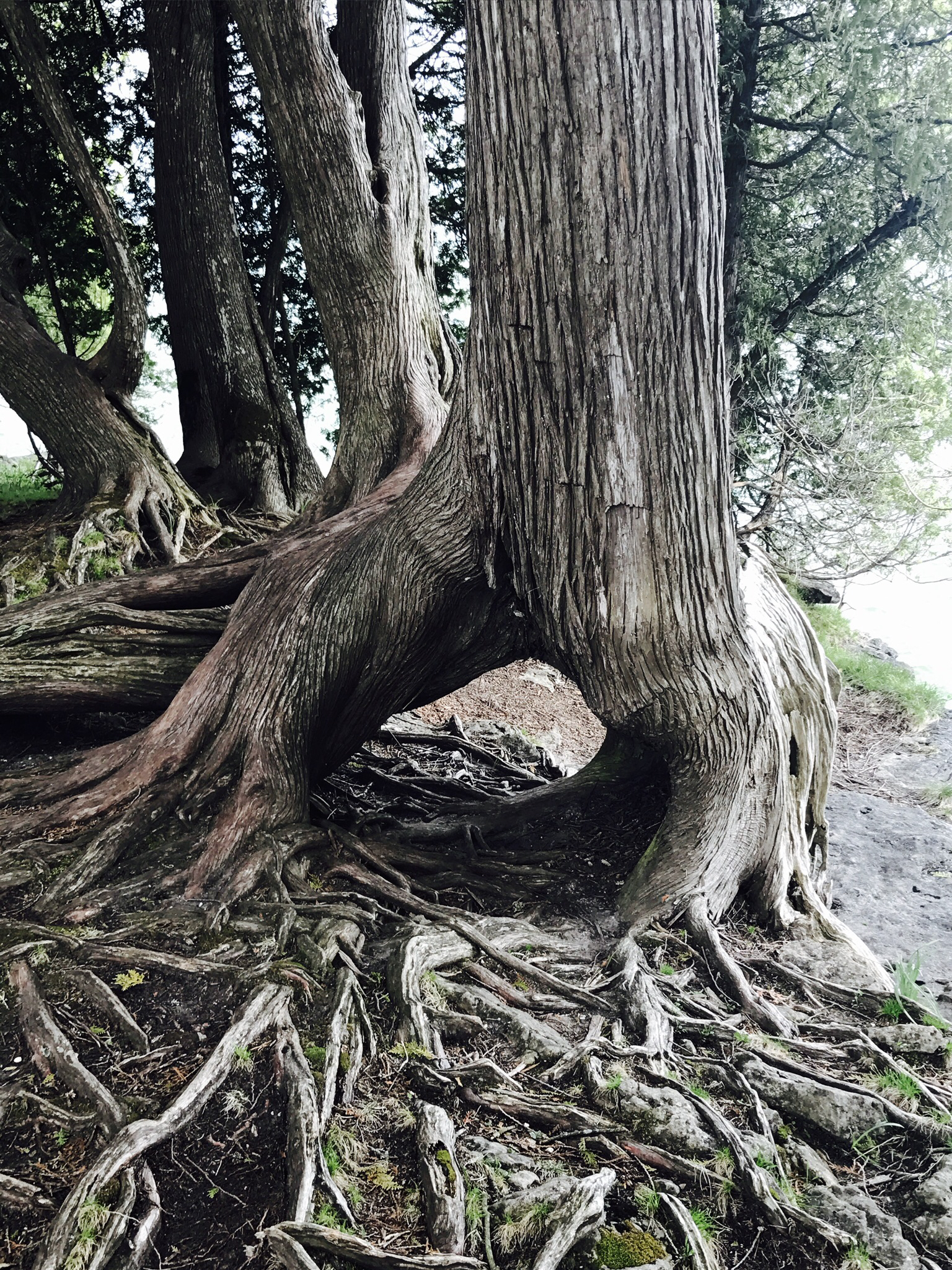 Cave Point County Park Lakeside Trail