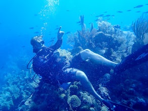 Dive the West End Wall