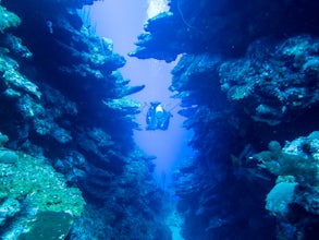Dive Canyon Reef