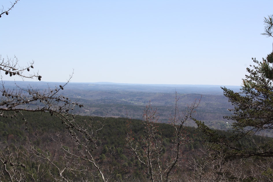 Hike The Cave Creekpinhoti Trail Loop Cheaha Trailhead