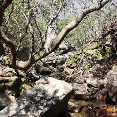 Cave Creek/Pinhoti Trail Loop