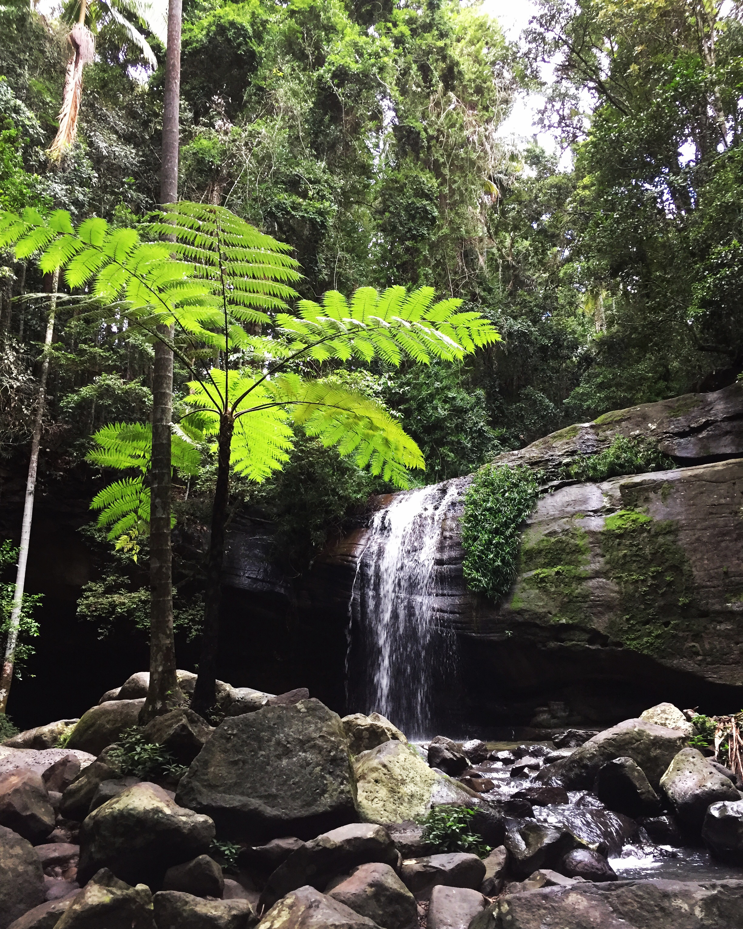 Explore Serenity Falls, Buderim