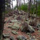 Hike to Sunset Rocks in Michaux State Forest 