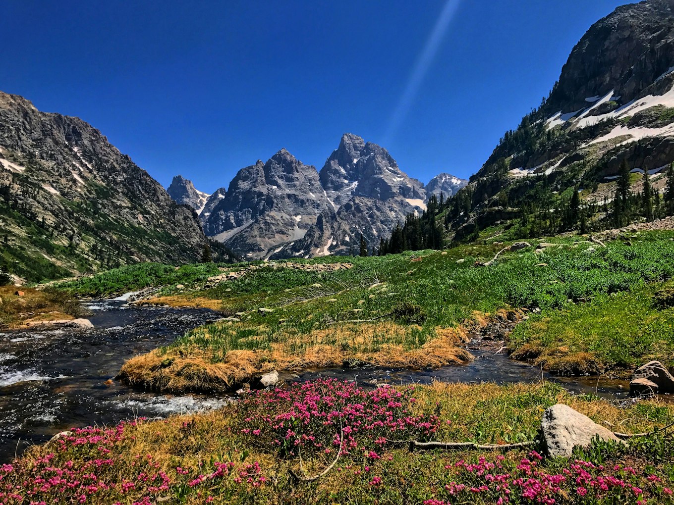 Grand teton shop crest trail