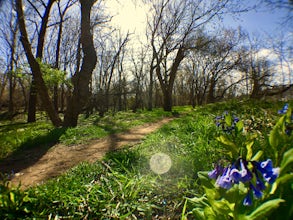 Run on the Seven Rails Trail