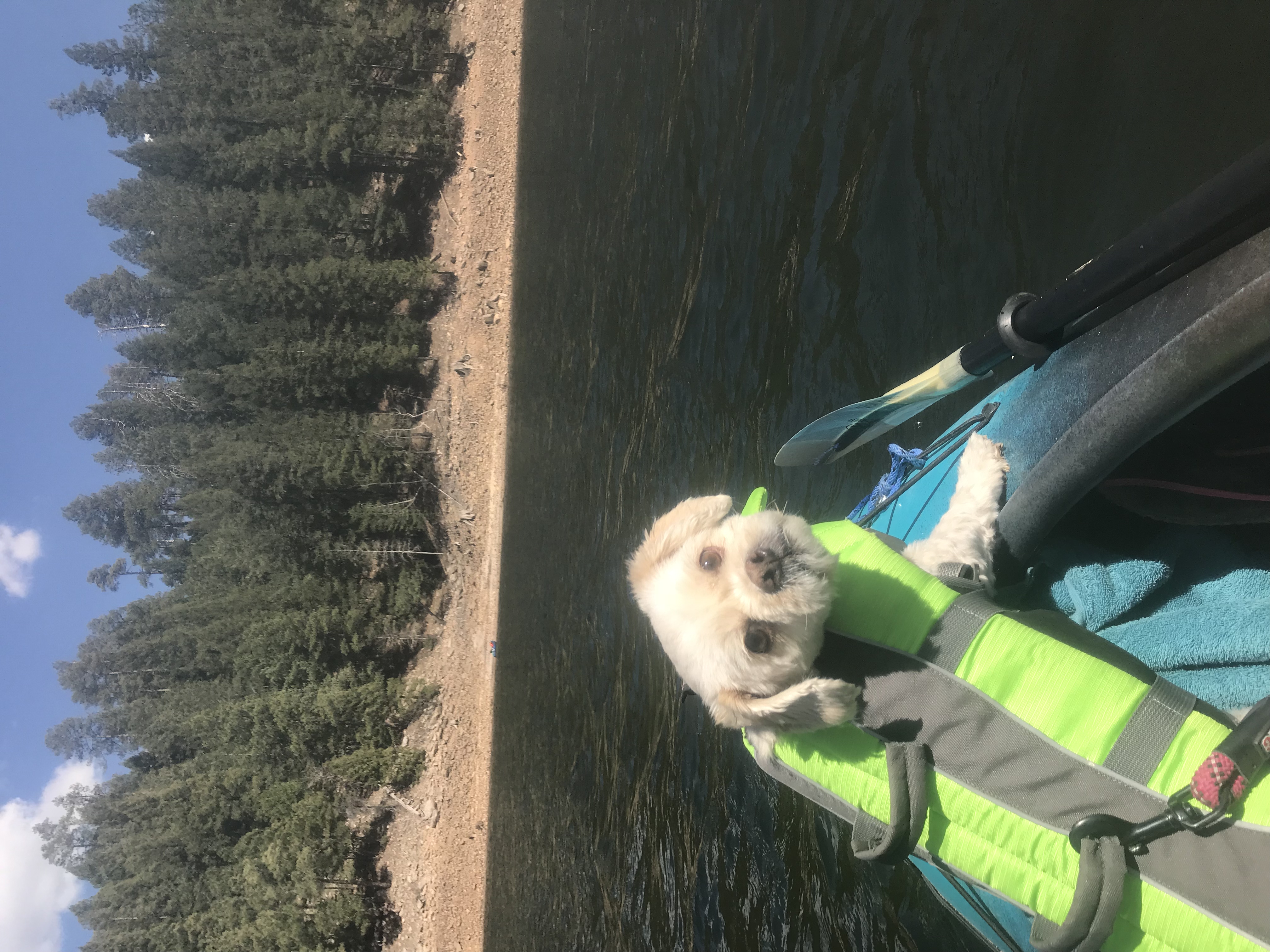 Camp at Knoll Lake