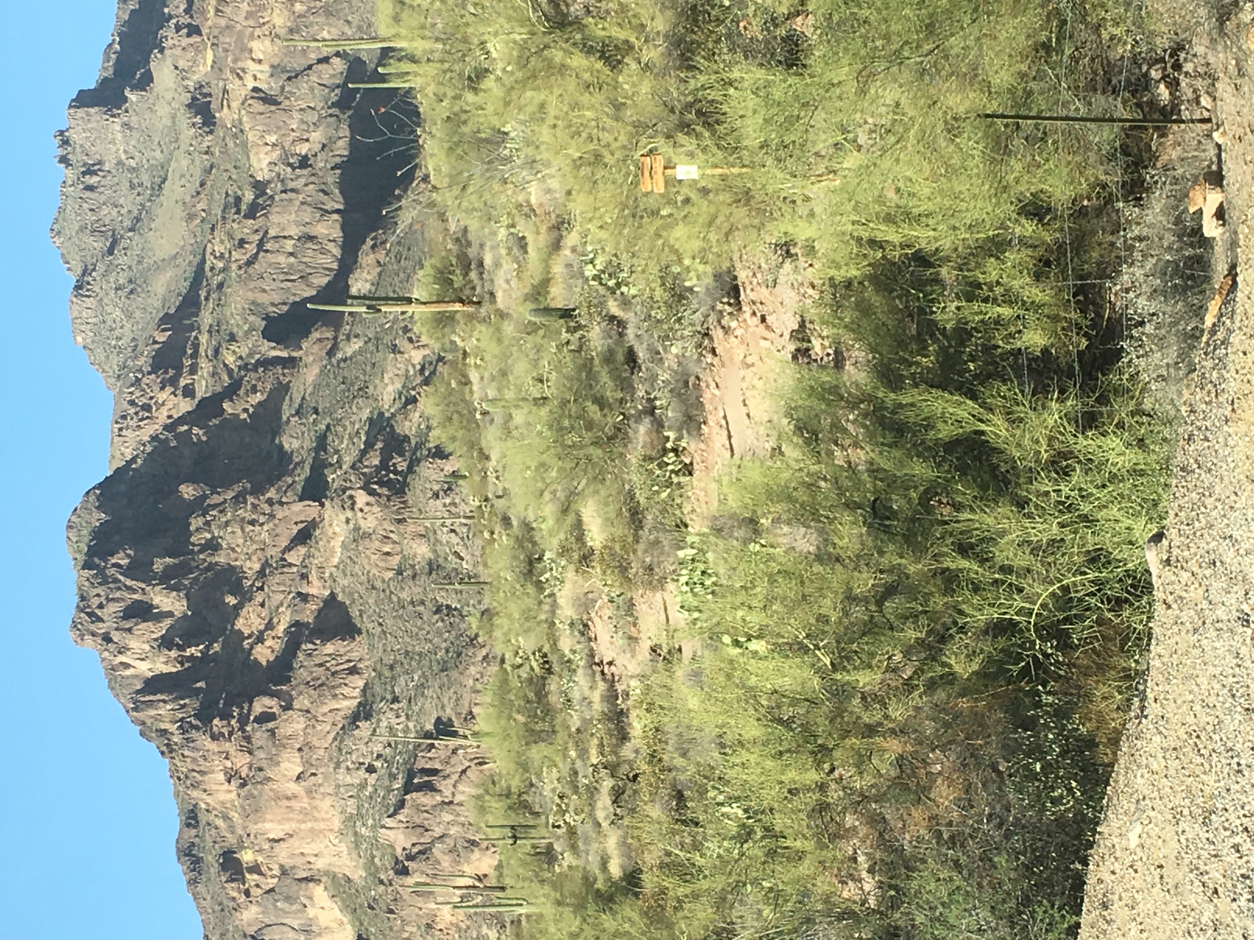 Hieroglyphic Trail