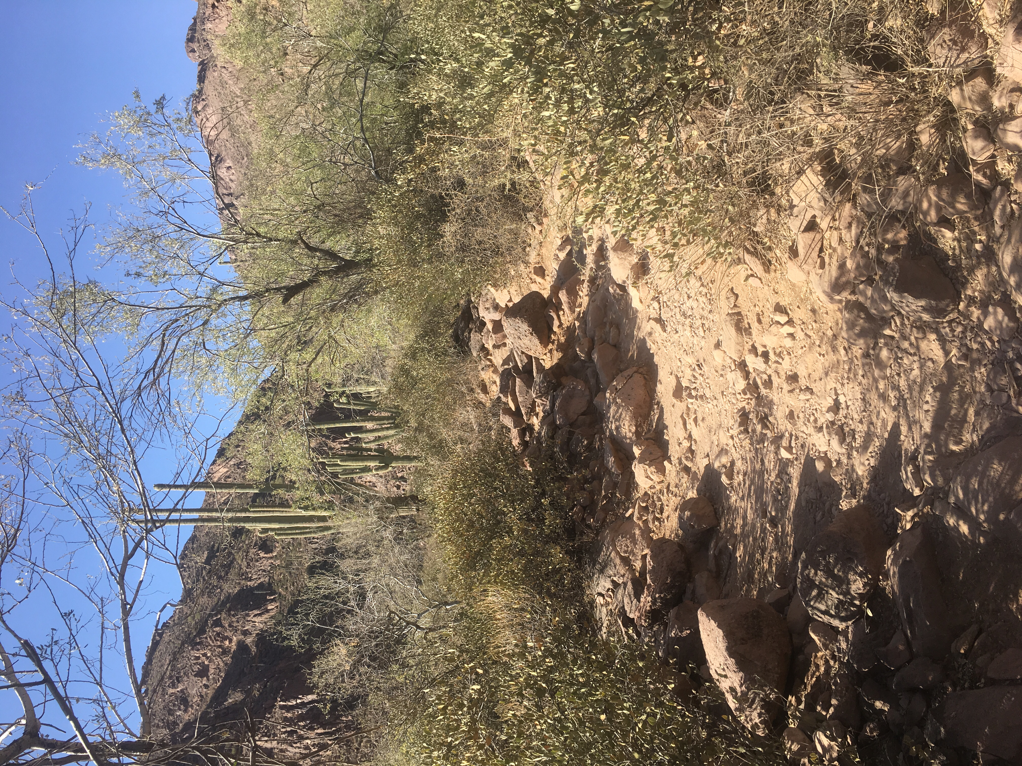 Hieroglyphic Trail