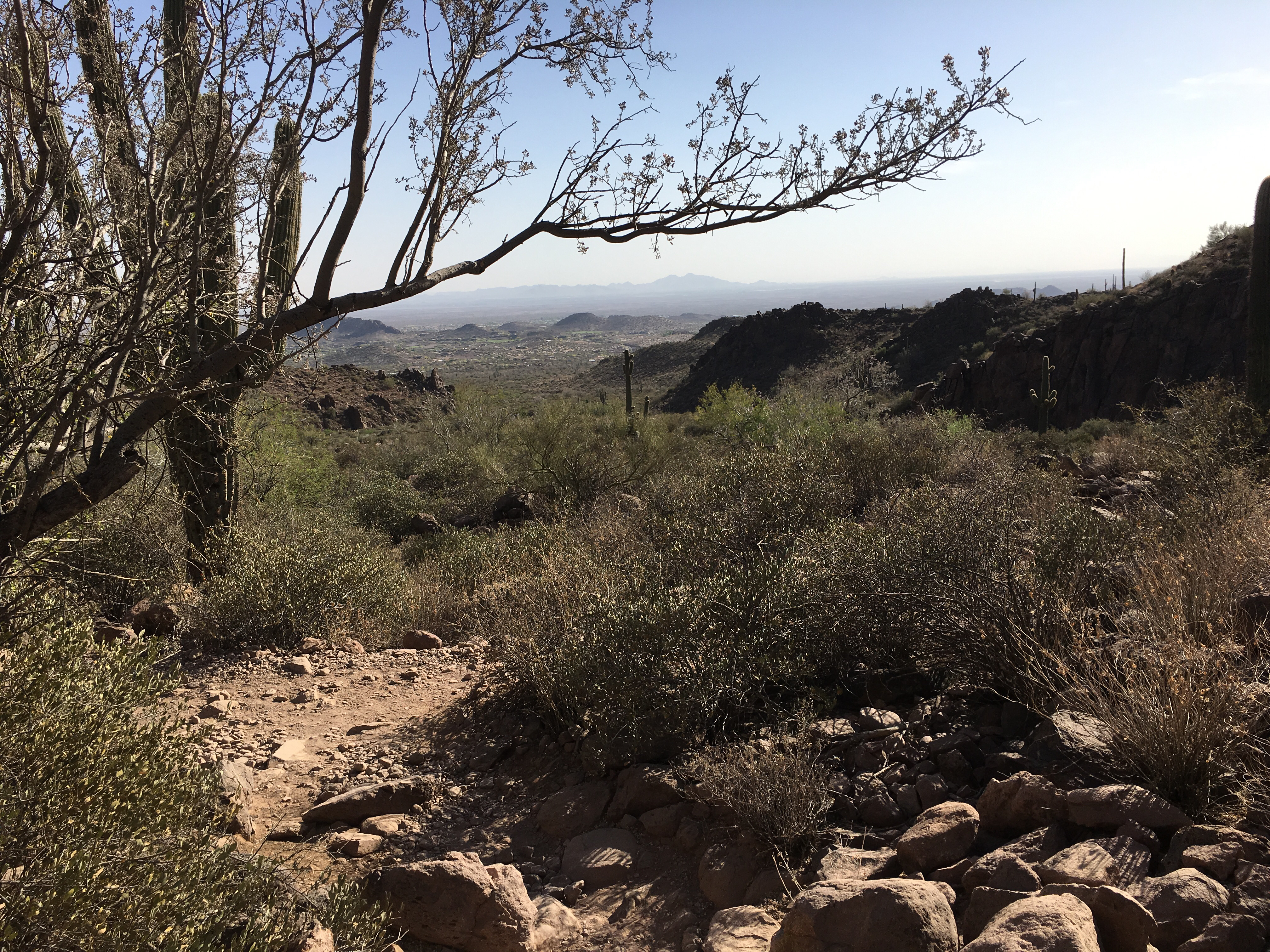 Hieroglyphic Trail