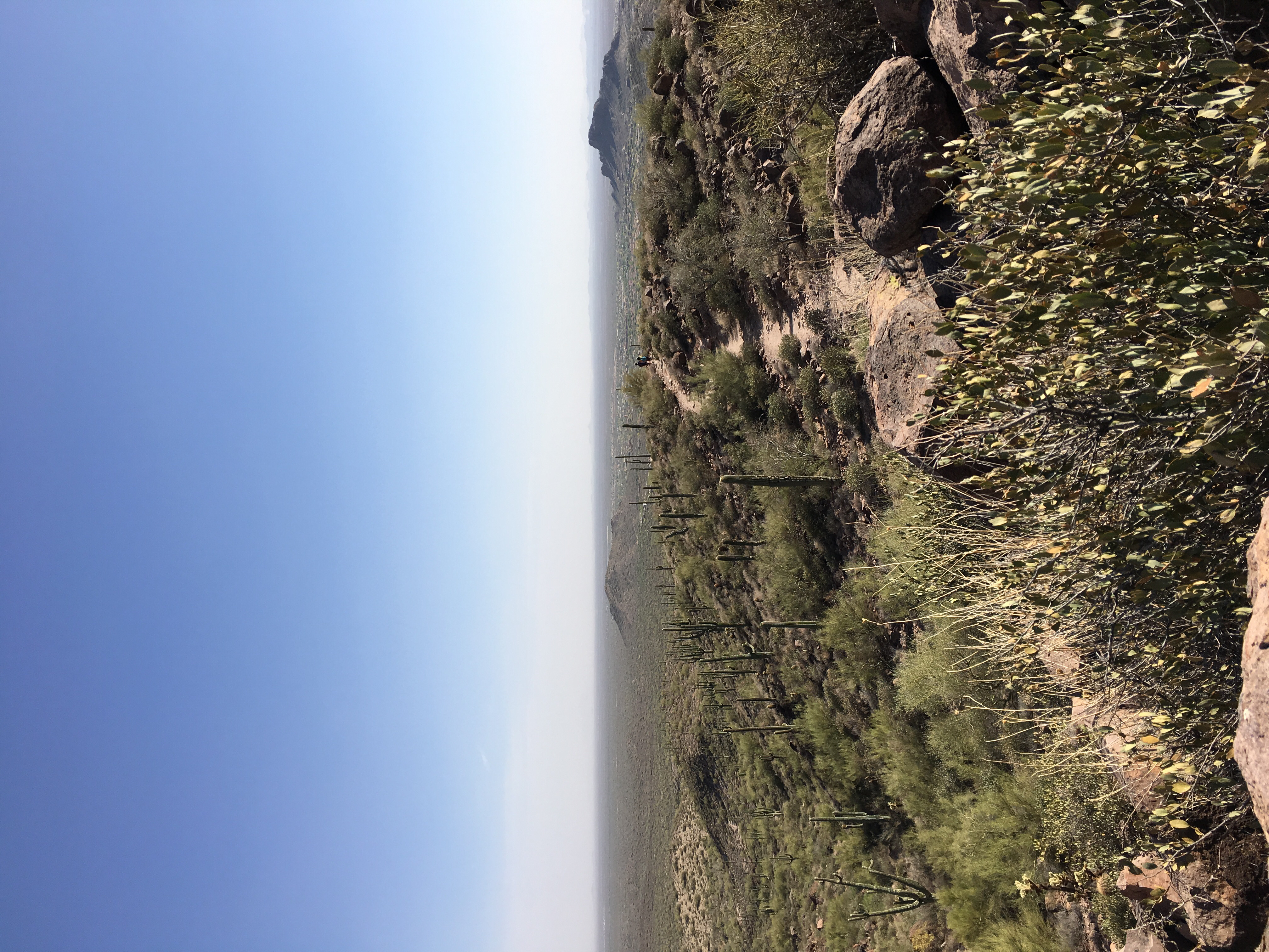 Hieroglyphic Trail