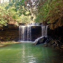 Rhododendron Trail and Rocky Trail Loop